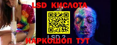 прущие грибы Партизанск