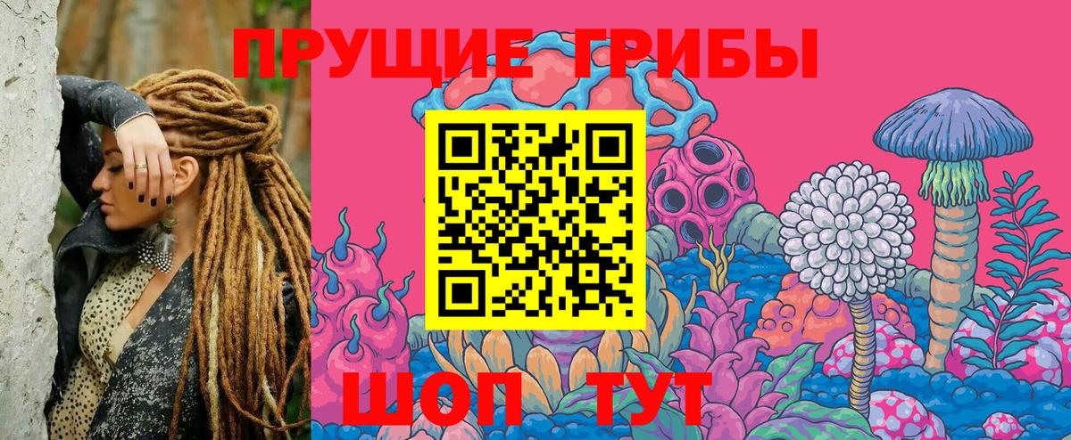 купить наркоту  Вход с VPN  Солнечногорск  Псилоцибиновые грибы Psilocybe  Галлюциногенные грибы Magic Shrooms 